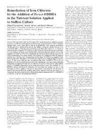Remediation of Iron Chlorosis by the Addition of Fe-O,O-EDDHA in the Nutrient Solution Applied to Soilless Culture
