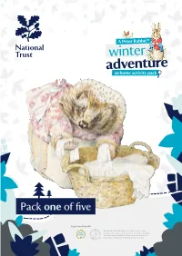Peter-Rabbit-Activity-Pack-One.Pdf