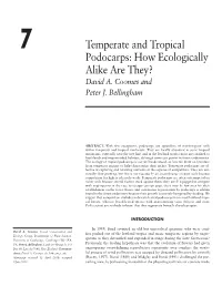 Temperate and Tropical Podocarps: How Ecologically Alike Are They? David A