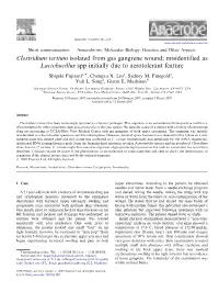 Clostridium Tertium Isolated from Gas Gangrene Wound; Misidentiﬁed As Lactobacillus Spp Initially Due to Aerotolerant Feature