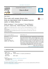 Tree Traits and Canopy Closure Data from an Experiment with 34 Planted Species Native to Sabah, Borneo