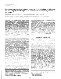 The Neuron-Restrictive Silencer Element: a Dual Enhancer͞silencer Crucial for Patterned Expression of a Nicotinic Receptor Gene in the Brain