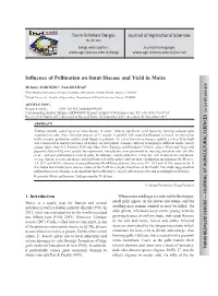 Influence of Pollination on Smut Disease and Yield in Maize