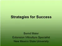 Strategies for Success