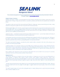 This Comprehensive Guide to Fishing on Kangaroo Island Has Been Kindly Supplied by Shane Mensforth, Editor of SA Angler Magazine