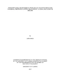 University of Florida Thesis Or Dissertation Formatting