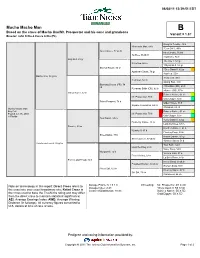 Mucho Macho Man B Based on the Cross of Macho Uno/Mr