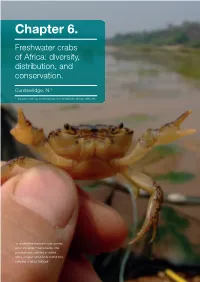 Chapter 6 Crabs