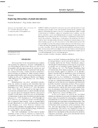 Exploring Interactions of Plant Microbiomes Review