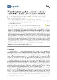 Polycarboxylated Eggshell Membrane Scaffold As Template for Calcium