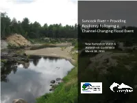 Suncook River – Providing Resiliency Following a Channel-Changing Flood Event
