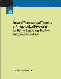 Toward Transcultural Training in Phonological Processes for Bantu Language Mother Tongue Translators