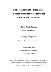 Understanding the Impacts of Viruses on Microbial Methanol Utilisation in Seawater
