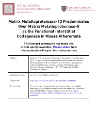 Matrix Metalloproteinase-13 Predominates Over Matrix Metalloproteinase-8 As the Functional Interstitial Collagenase in Mouse Atheromata