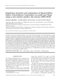Population Structure and Systematics of Opsariichthys Bidens (Osteichthyes: Cyprinidae) in South-East China Using a New Nuclear Marker: the Introns (EPIC-PCR)