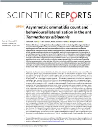 Asymmetric Ommatidia Count and Behavioural Lateralization in the Ant Temnothorax Albipennis Received: 19 January 2018 Edmund R