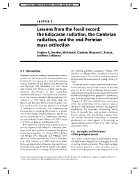 Lessons from the Fossil Record: the Ediacaran Radiation, the Cambrian Radiation, and the End-Permian Mass Extinction