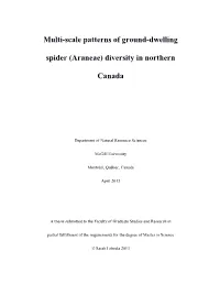 Multi-Scale Patterns of Ground-Dwelling Spider (Araneae) Diversity in Northern Canada