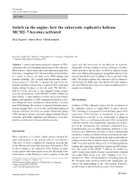 How the Eukaryotic Replicative Helicase MCM2–7 Becomes Activated