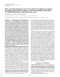 Nrf1 and Nrf2 Positively and C-Fos and Fra1 Negatively Regulate the Human Antioxidant Response Element-Mediated Expression of NAD(P)H:Quinone Oxidoreductase1 Gene