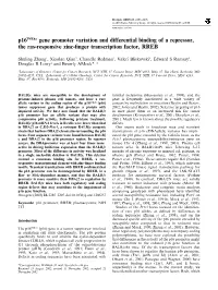 P16ink4a Gene Promoter Variation and Differential Binding of a Repressor, the Ras-Responsive Zinc-ﬁnger Transcription Factor, RREB