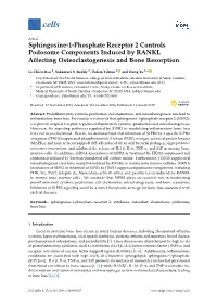 Sphingosine-1-Phosphate Receptor 2 Controls Podosome Components Induced by RANKL Affecting Osteoclastogenesis and Bone Resorption