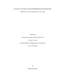 Tectonic Evolution of Syria Interpreted from Integrated