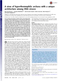A Virus of Hyperthermophilic Archaea with a Unique Architecture Among DNA Viruses