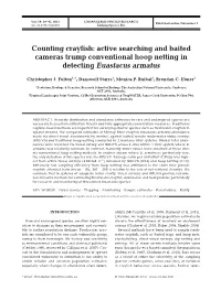 Active Searching and Baited Cameras Trump Conventional Hoop Netting in Detecting Euastacus Armatus