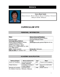 Curriculum Vite