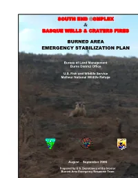 South End Complex Basque Wells & Craters Fires C