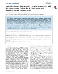 Identification of SH3 Domain Proteins Interacting with the Cytoplasmic Tail of the a Disintegrin and Metalloprotease 10 (ADAM10)