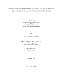 Molecular Genetic Characterization of Ptr Toxc-Tsc1 Interaction
