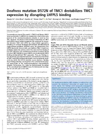 Deafness Mutation D572N of TMC1 Destabilizes TMC1 Expression by Disrupting LHFPL5 Binding