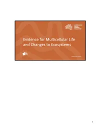 Multicellular Life and Changes to Ecosystems
