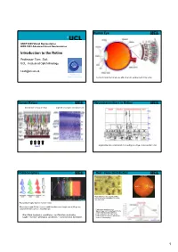 Introduction to Retina