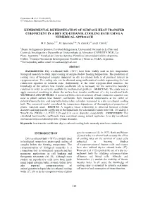 Experimental Determination of Surface Heat Transfer Coefficient in a Dry Ice-Ethanol Cooling Bath Using a Numerical Approach