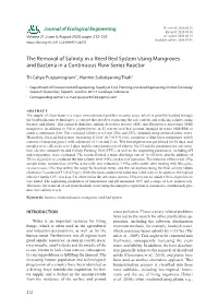The Removal of Salinity in a Reed Bed System Using Mangroves and Bacteria in a Continuous Flow Series Reactor