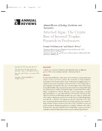 Attached Algae: the Cryptic Base of Inverted Trophic Pyramids in Freshwaters