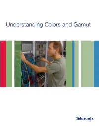 Understanding Color and Gamut Poster