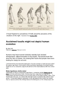 Acclaimed Fossils Might Not Depict Human Evolution