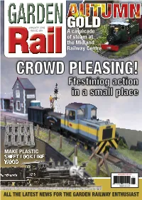 Ffestiniog Action in a Small Place