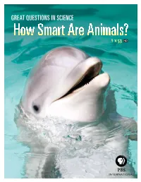 Great Questions in Science