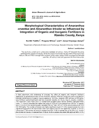 Morphological Characteristics of Amaranthus Cruentus And