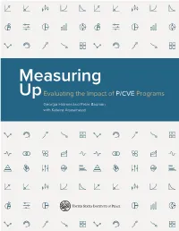 P/CVE Programs