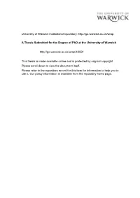 WRAP THESIS Bae 2000.Pdf