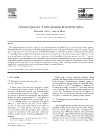 Calcium Regulation of Actin Dynamics in Dendritic Spines Thomas G