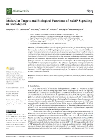 Molecular Targets and Biological Functions of Camp Signaling in Arabidopsis