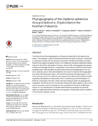 Phylogeography of the Chydorus Sphaericus Group (Cladocera: Chydoridae) in the Northern Palearctic