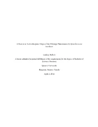 A Passive Or Active Biogenic Origin of the Whitings Phenomenon by Synechococcus Bacillaris